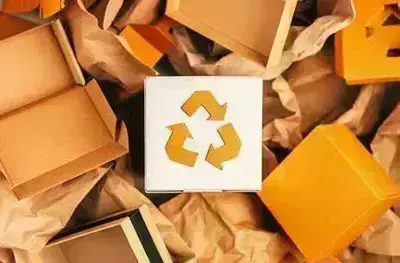 The Development of Green Packaging